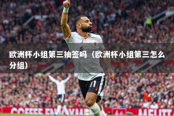 欧洲杯小组第三抽签吗（欧洲杯小组第三怎么分组）