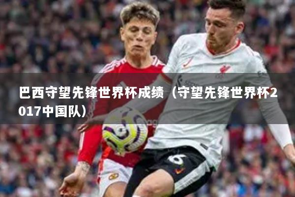 巴西守望先锋世界杯成绩（守望先锋世界杯2017中国队）