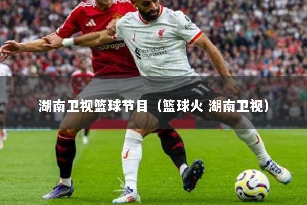 湖南卫视篮球节目（篮球火 湖南卫视）