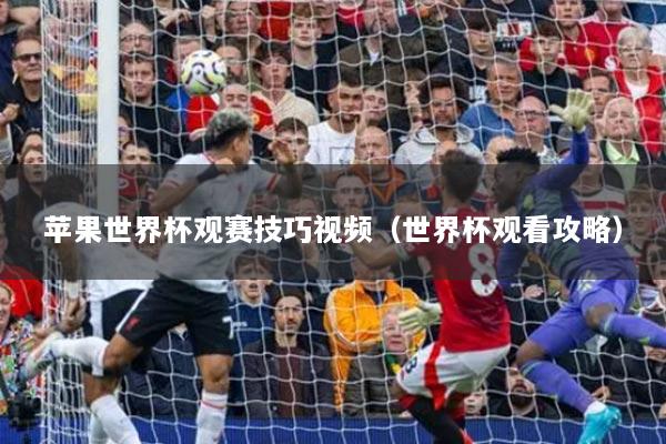 苹果世界杯观赛技巧视频（世界杯观看攻略）