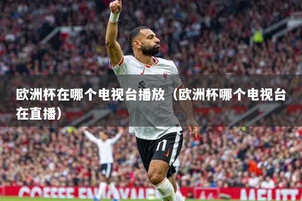 欧洲杯在哪个电视台播放（欧洲杯哪个电视台在直播）