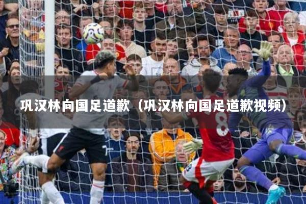 巩汉林向国足道歉（巩汉林向国足道歉视频）