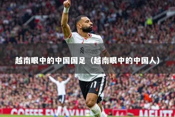 越南眼中的中国国足（越南眼中的中国人）