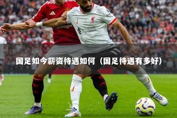 国足如今薪资待遇如何（国足待遇有多好）