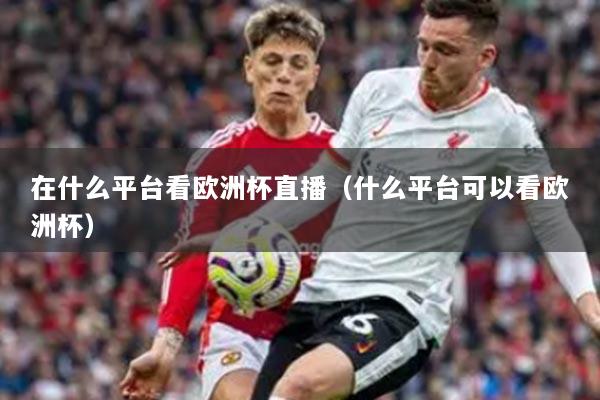 在什么平台看欧洲杯直播（什么平台可以看欧洲杯）