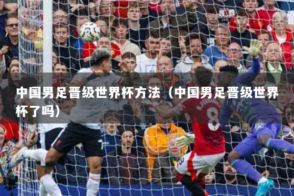 中国男足晋级世界杯方法（中国男足晋级世界杯了吗）