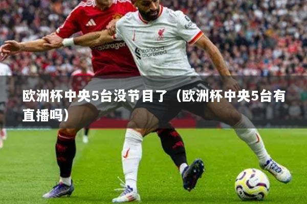 欧洲杯中央5台没节目了（欧洲杯中央5台有直播吗）