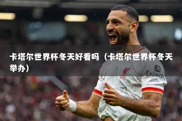 卡塔尔世界杯冬天好看吗（卡塔尔世界杯冬天举办）